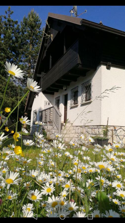 River House Hrib Preddvor Exterior foto